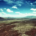 entdecke, welche schönen, aber gefährlichen pflanzen du sofort aus deinem garten entfernen solltest, um deine sicherheit zu gewährleisten.