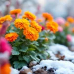 entdecken sie, wie das pflanzen dieser staude im winter ihren garten zum blühen bringt und unkraut fernhält – ein einfacher trick für einen gepflegten, schönen garten.