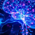 entdecke, wie dein gehirn eine verborgene sprache nutzt, die dein verhalten und denken unbewusst beeinflusst – spannende einblicke in die geheimnisse deines geistes.